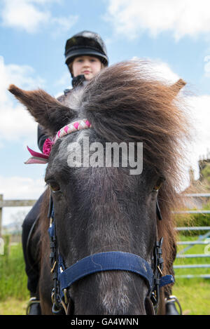 Ragazza giovane in sella il suo marrone pony Shetland Foto Stock