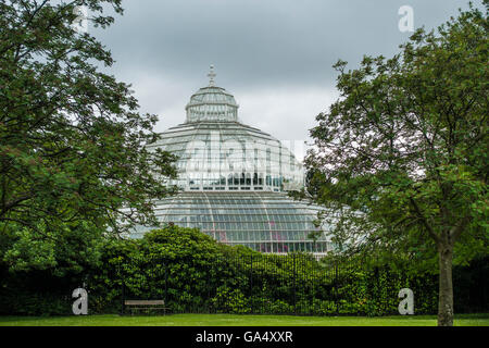 Il Palm House Sefton Park Liverpool Merseyside England Regno Unito Foto Stock