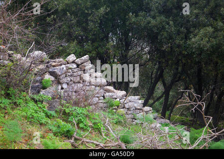 Monte Judica, Ellenizzata insediamento indigeno. Catania, in Sicilia. Foto Stock