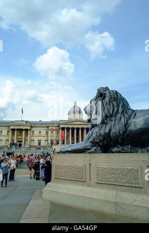 Uno dei leggendari leoni in bronzo in Trafalgar Square di Londra, con la Galleria Nazionale in background. Foto Stock
