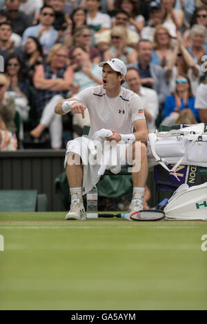 Londra, Regno Unito. 2 Luglio, 2016. Il torneo di Wimbledon Tennis Championships 2016 tenutosi presso il All England Lawn Tennis e Croquet Club di Londra, Inghilterra, Regno Unito. Andy Murray (GBR) [2] v John Millman (AUS) sul Centre Court. Nella foto:- Andy Murray gesticulates al suo entourage di giocatori' Box durante un cambiamento di estremità. Credito: Duncan Grove/Alamy Live News Foto Stock