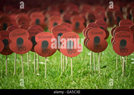 Londra, Regno Unito. 2 Luglio, 2016. Campo di papaveri fuori Abbazia di Westminster del centesimo anniversario dell'inizio della Battaglia delle Somme alla Prima Guerra Mondiale. Credito: Julio Etchart/Alamy Live News Foto Stock