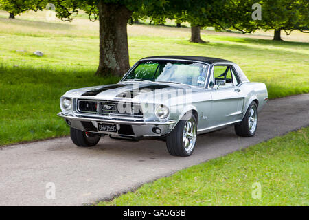 Sfocata auto in movimento 1968 Ford Shelby Mustang GT auto American muscolo auto Slow shutter della telecamera la velocità di movimento del veicolo Foto Stock