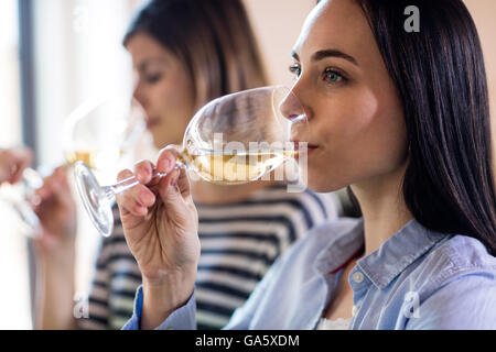 Giovane donna bere il vino con gli amici Foto Stock