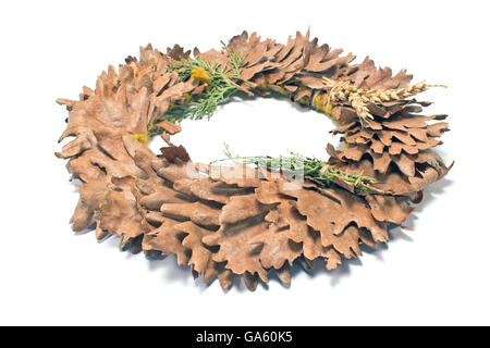 Ghirlanda di foglie di quercia isolato su bianco Foto Stock