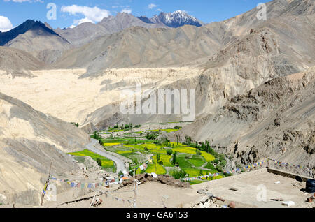 I campi nella valle vicino a villaggio, Lamayuru, nei pressi di Leh, Leh a Srinagar Road, Ladakh, Jammu e Kashmir in India. Foto Stock