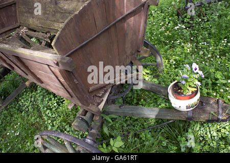 Il vecchio cavallo carro coach sul campo di erba con fiori in vaso Foto Stock