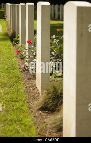 Commonwealth Guerra Mondiale 2 cimitero, Roma, Italia. Foto Stock