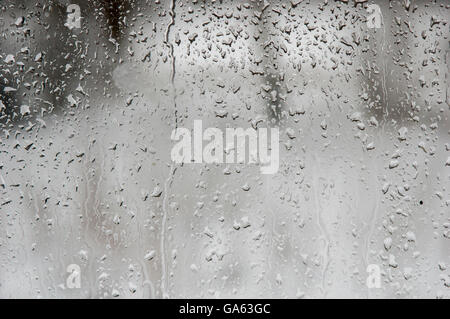 Gocce di pioggia su un vetro di finestra con sfocata alberi e fogliame fuori in background Foto Stock