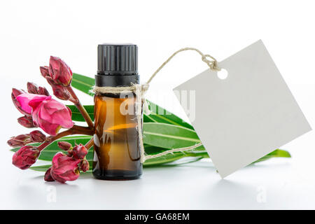 Olio essenziale, i tag vuoti e le rose fiori Foto Stock