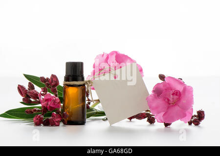 Olio essenziale, i tag vuoti e le rose fiori Foto Stock