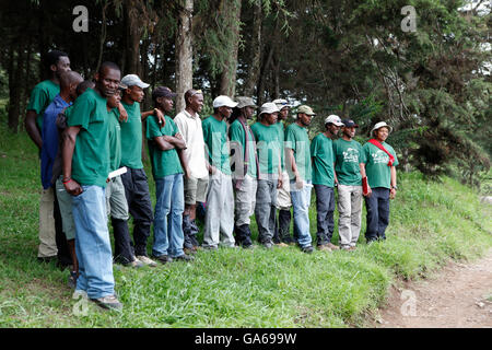 Aiutanti locali e guide in attesa al margine della foresta per il Kilimanjaro salita, alla Marangu Route a Mt. Kilimanjaro, Tanzania Foto Stock