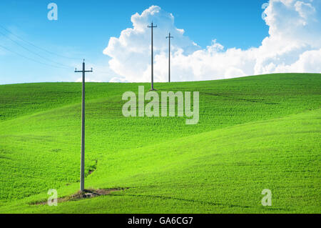Le linee elettriche in alta tensione sul campo. Foto Stock