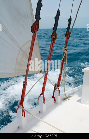 Alcune delle manovre a bordo di una barca a vela Foto Stock