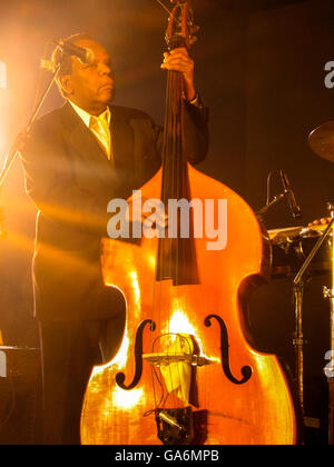 Musicista cubano giocando double bass in un concerto a l'Avana, Cuba Foto Stock