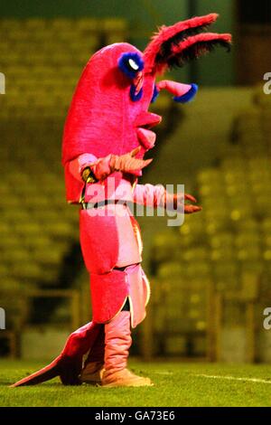 Calcio - AXA fa Cup - terzo turno - Southend United v Tranmere Rovers. La mascotte di Southend United Sammy The Shrimp Foto Stock