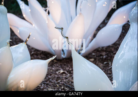 Dale Chihuly del " bianco " Belugas sculture in vetro ad Atlanta Giardino Botanico di Chihuly nel giardino presentano in Atlanta, Georgia. Foto Stock