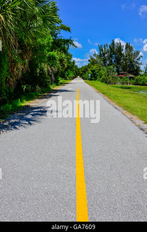 Florida palme linea il sentiero Legacy percorso per biciclette con striscia gialla giù percorso vuoto vicino al centro di Venezia Stazione Ferroviaria Foto Stock