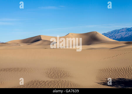 Mesquite dune di sabbia nel Parco Nazionale della Valle della Morte, CALIFORNIA, STATI UNITI D'AMERICA Foto Stock