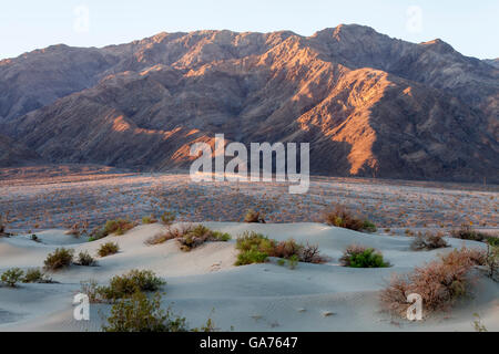 Mesquite dune di sabbia nel Parco Nazionale della Valle della Morte, CALIFORNIA, STATI UNITI D'AMERICA Foto Stock