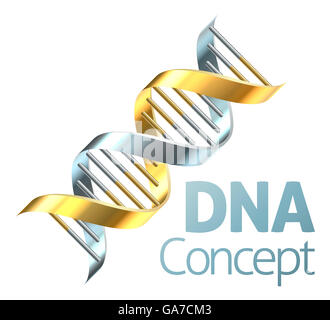 Un DNA a doppia elica cromosoma strand in oro e argento concetto di genetica Foto Stock