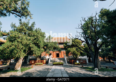 Pechino, Cina - 23 ottobre 2015:Il Tempio di Confucio a Pechino è la seconda più grande tempio confuciano in Cina, Foto Stock