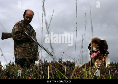 Declan Healey cammina sulla montagna a Glenan Glen, County Antrim, con il suo springer spaniel Finn in preparazione per l'inizio della stagione di tiro Grouse che si apre sul 'glorioso dodici'. La popolazione di Grouse nelle Glene di Antrim è sempre bassa a causa delle pressioni delle tecniche agricole aggregative e dell'aumento dei rapitori protetti. Foto Stock