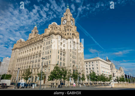 Royal Liver Building Cunard Building del porto di Liverpool Liverpool edificio Waterfront Foto Stock