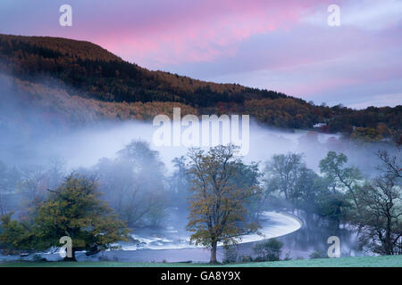 Nebbia autunnale nella Dee Valley (Dyffryn Dyfrdwy) a Horseshoe Falls, vicino a Llangollen, Denbighshire, Wales, Regno Unito, novembre 2013. Foto Stock