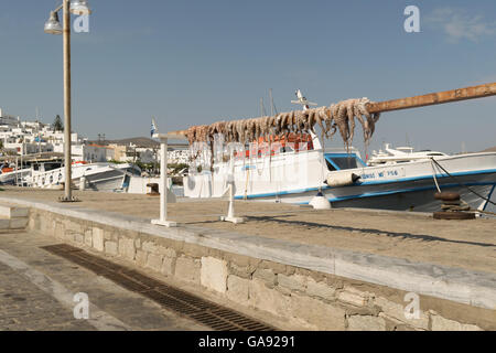 Paros, Grecia, 15 agosto 2015. Il polpo fuori nel sole per asciugare contro il mare e una barca da pesca. Foto Stock