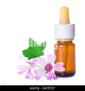Flacone contagocce con malva malva estratto o olio essenziale isolato su uno sfondo bianco Foto Stock