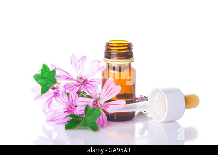 Flacone contagocce con malva malva estratto o olio essenziale isolato su uno sfondo bianco Foto Stock