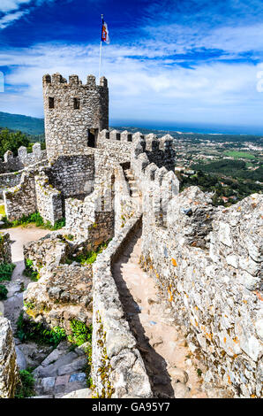 Sintra, Portogallo. Castello dei Mori collina fortezza medievale, costruita dagli arabi nel VIII secolo. Foto Stock