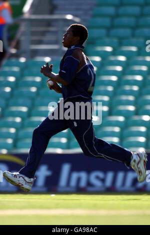 Cricket - NatWest Pro40 League 2006 - Divisione due - Surrey Brown Caps contro Somerset Sabres - The Brit Oval. Chris Jordan di Surrey Brown Caps Foto Stock