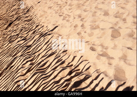 Ombre di sabbia trappola scherma,Sandhaven beach, South Shields, South Tyneside Foto Stock