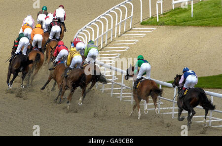 Corse ippiche - Ippodromo di Kempton. I corridori e i cavalieri girano la prima curva nel giorno, notte, tempo grande, handicap all'ippodromo di Kempton, Middlesex. Foto Stock