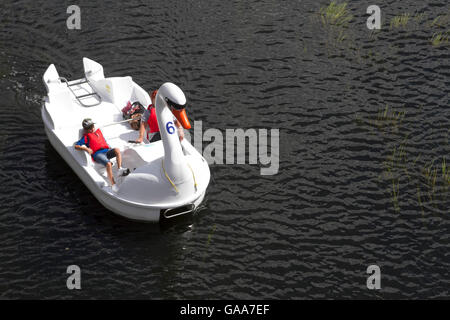 Londra, UK. 5 agosto 2016. Persone approfitta del caldo e soleggiato di cavalcare su swan pedalò intorno al Parco Olimpico di Stratford Credito: amer ghazzal/Alamy Live News Foto Stock