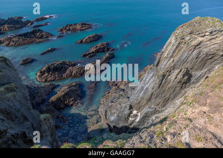 Le scogliere di ardesia del lato sud del Burgh Island, South Devon, Inghilterra, Regno Unito Foto Stock