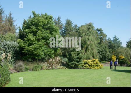 Due volontari femmina giardinieri a piedi nel fogliame e Plantsman's Garden a RHS Rosemoor, Devon, Inghilterra, Regno Unito Foto Stock