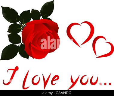 Immagine vettoriale Valentine con rosa rossa su uno sfondo bianco. Illustrazione Vettoriale