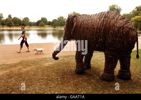 Willow elefanti in Hyde Park Foto Stock