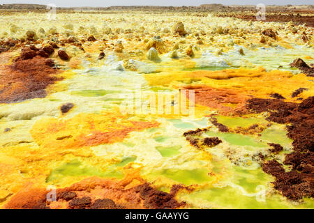 Dallol primavera calda con sale concrezioni colorate da zolfo, potassio e ferro, Dallol Vulcano, Danakil depressione, Etiopia, marzo 2015. Foto Stock