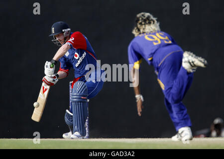 cricket - secondo giorno Internazionale - Sri Lanka / Inghilterra - Stadio Internazionale Rangiri Dambulla. Paul Collingwood in azione in Inghilterra Foto Stock