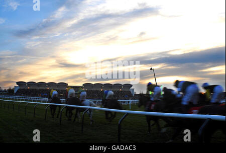 Il sole inizia a tramontare mentre i corridori del Servo computer Services Trophy handicap Steeple Chase si allontanano dalla tribuna principale per iniziare il secondo circuito all'ippodromo di Cheltenham. Foto Stock