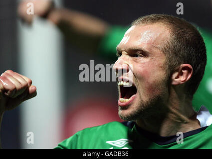 La Warren Feeney dell'Irlanda del Nord festeggia dopo aver segnato contro la Danimarca durante la partita di qualificazione del Gruppo F del Campionato europeo UEFA 2008 a Windsor Park, Belfast. Foto Stock