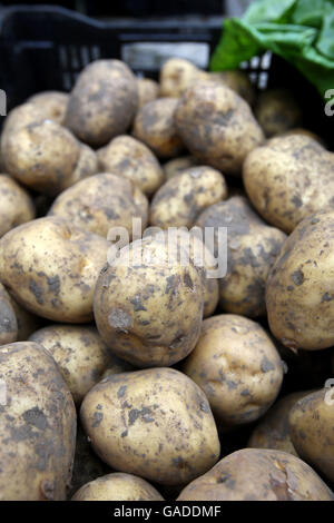 Colpo generico di una bancarella di frutta e verdura in un mercato agricolo a Richmond, Surry STAMPA ASSOCIAZIONE foto. Data immagine: Sabato 24 novembre 2007. Il credito fotografico dovrebbe essere: Steve Parsons/PA Wire Foto Stock