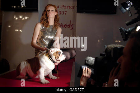 Diamanti e oro collare per cani Photocall - Londra Foto Stock