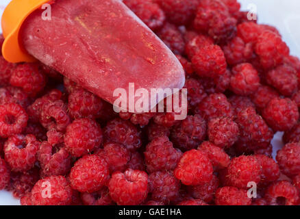 Stick sorbetto di lampone e bacche fresche Lamponi rosso Foto Stock