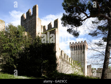 Castello o castello, Este, Colli Euganei o Colli Euganei, provincia di Padova, Veneto, Italia, Europa Foto Stock