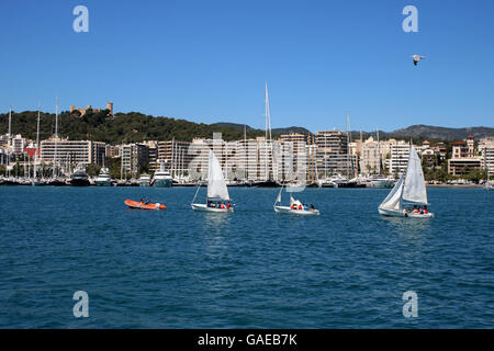 Scena - giovani velisti seaward legato in traino - storico castello di Belver e Paseo Maritimo dietro a Palma de Mallorca Foto Stock